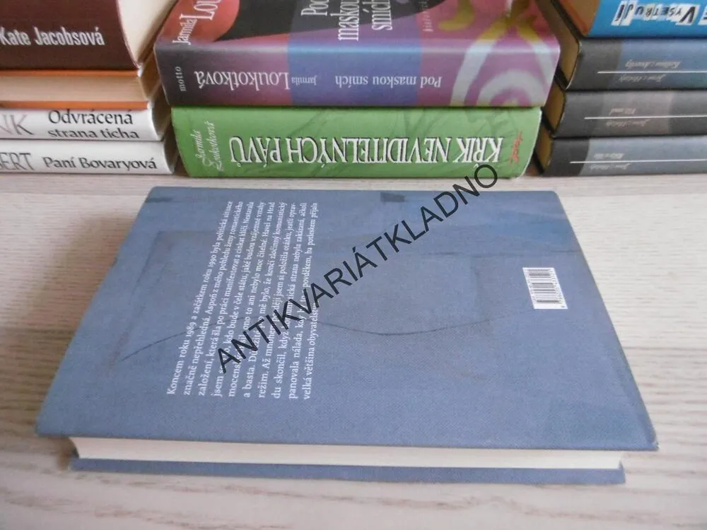 ZRCADLENÍ, MARTA DAVOUZE, **an