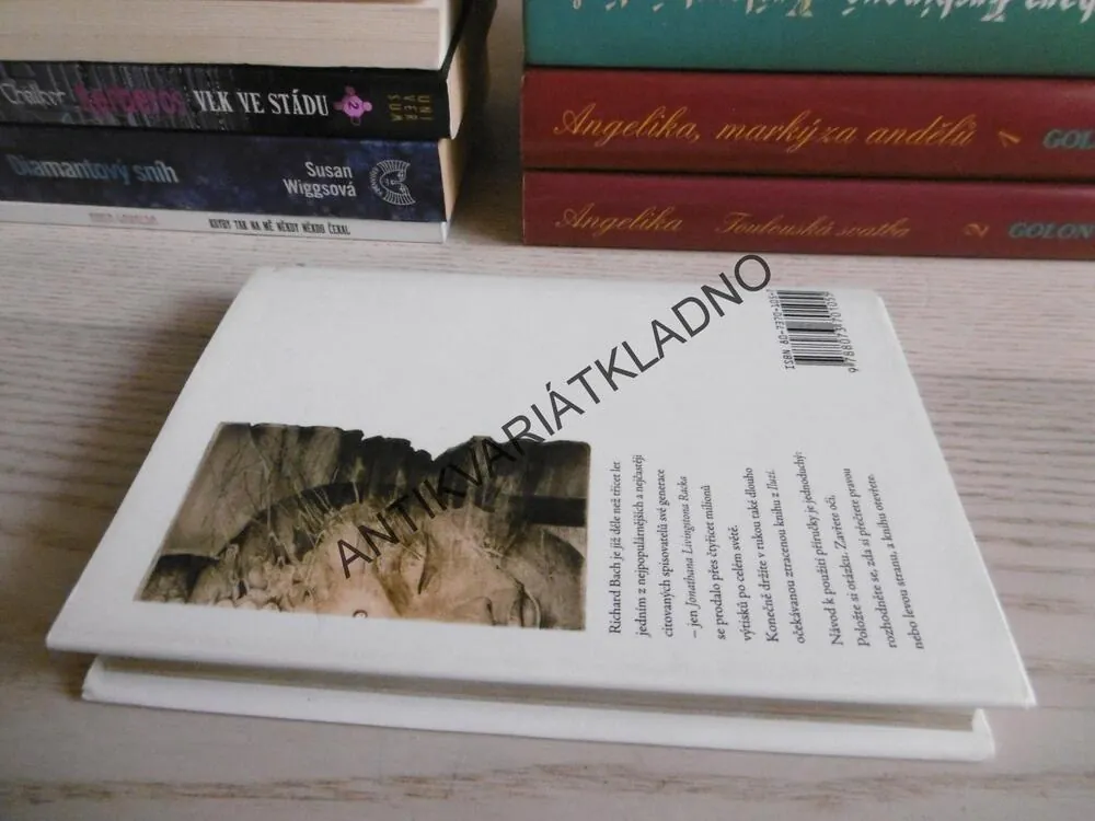 PŘÍRUČKA MESIÁŠE, RADY PRO VYSPĚLOU DUŠI, RICHARD BACH