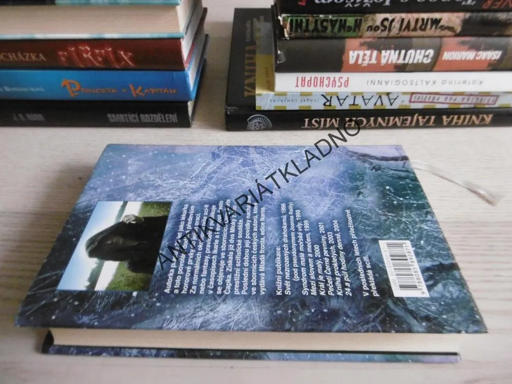 VÍCE NAŽ 24 A 1/2 HODINY DENNĚ, JANA REČKOVÁ, **an