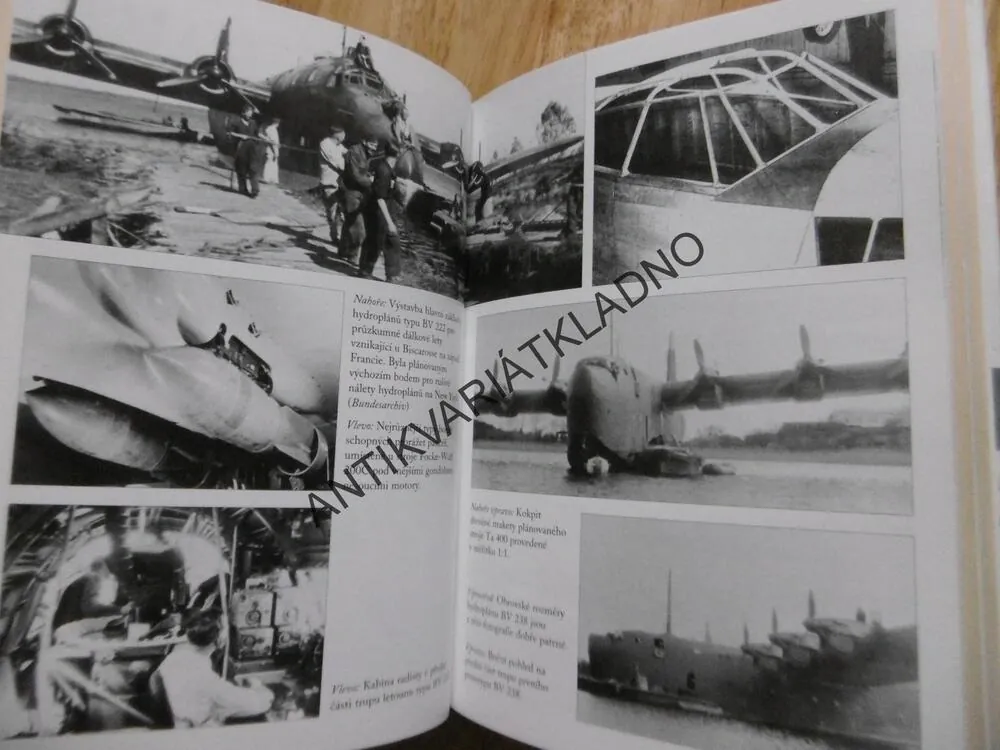 LUFTWAFFE NAD AMERIKOU, GRIEHL, VÁLKA, LETECTVÍ