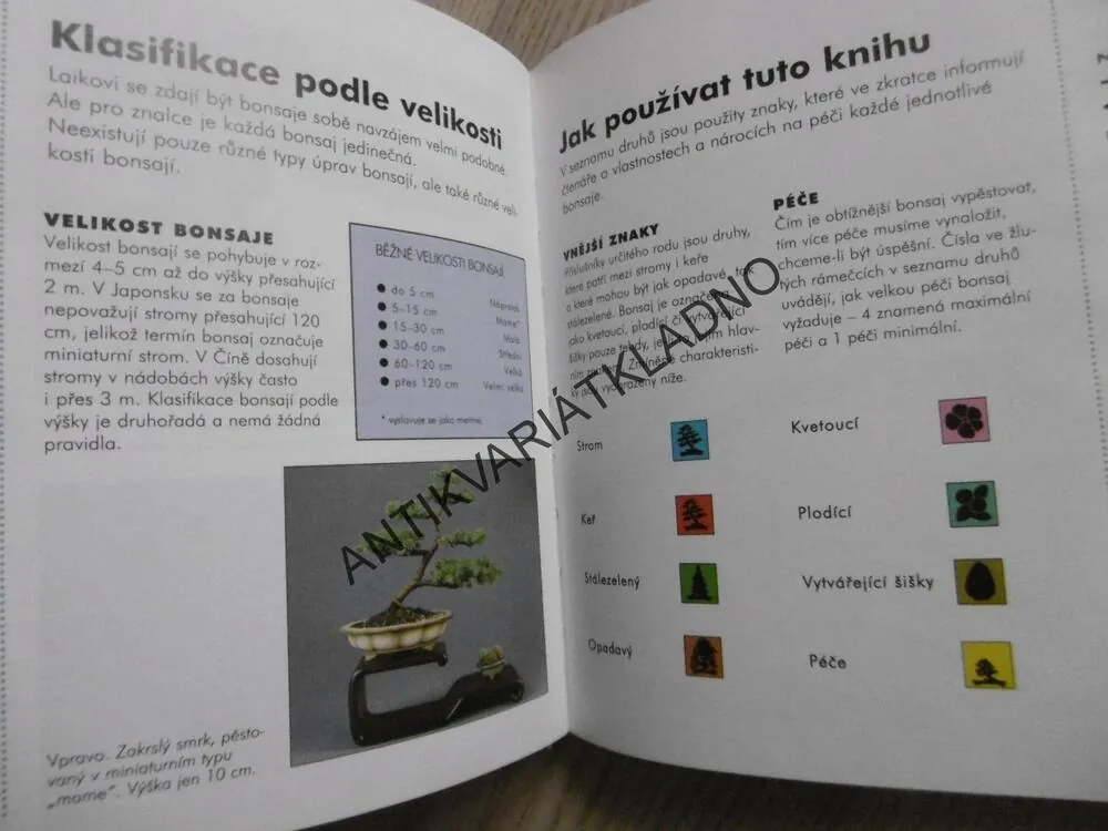 BONSAJE, **an