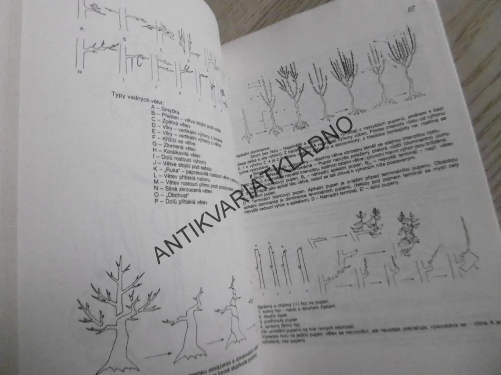 BONSAI, K. J. ŠTOLC, **an