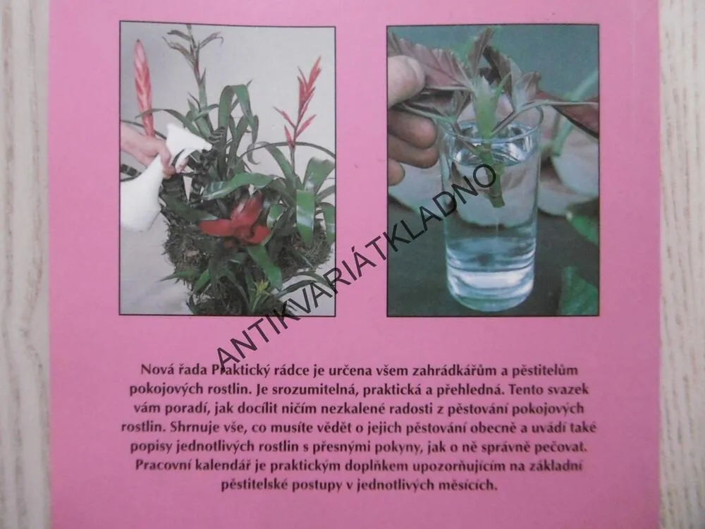 ROK S POKOJOVÝMI ROSTLINAMI, ELISABETH MANKE, **an