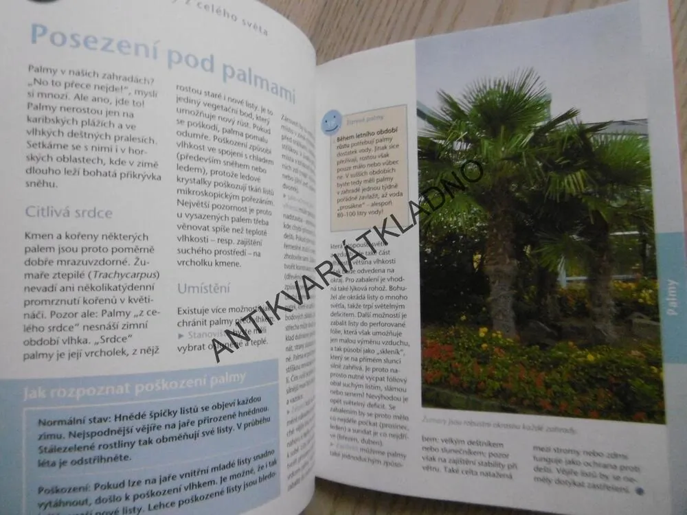 EXOTICKÉ ROSTLINY V ZAHRADĚ, TANJA RATSCH, **an