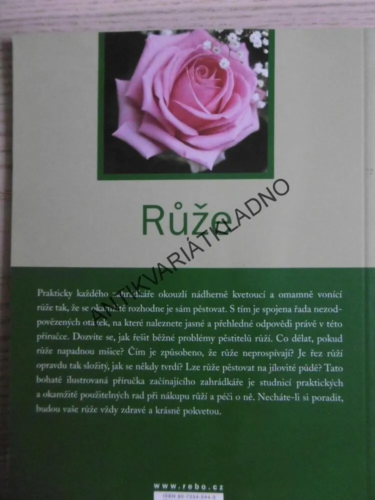 RŮŽE, RENÉE LAROS, **an