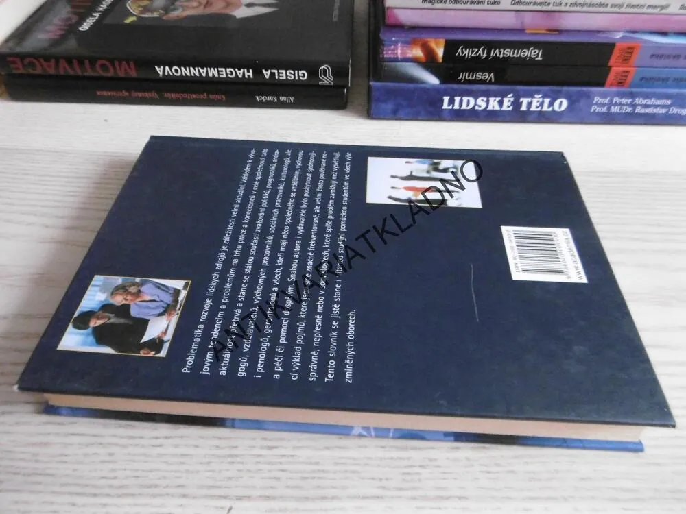 VÝKLADOVÝ SLOVNÍK - LIDSKÉ ZDROJE, ZDENĚK PALÁN, **an