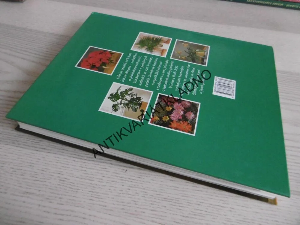 BYDLÍME S KVĚTINAMI, MARGOT SCHUBERTOVÁ, **an