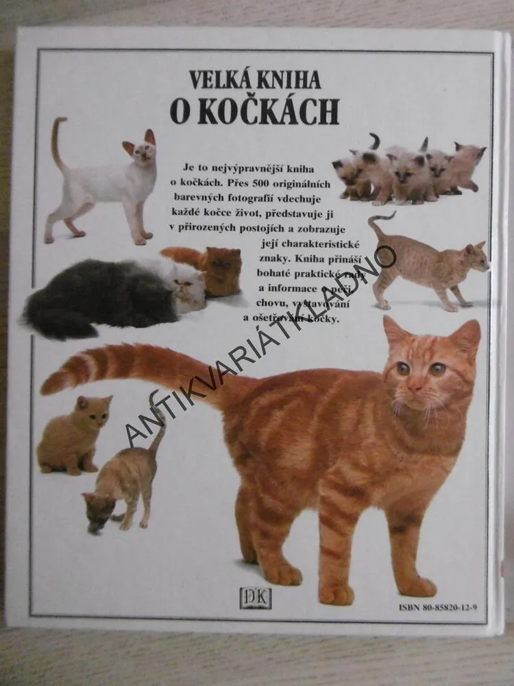 VELKÁ KNIHA O KOČKÁCH, DAVID TAYLOR, **an