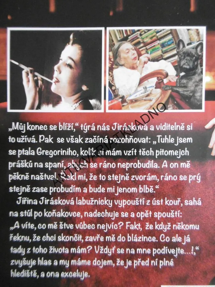 JIŘINA JIRÁSKOVÁ: JEN TO KLIDNĚ NAPIŠTE!, MICHAELA REMEŠOVÁ, ROMAN SCHUSTER, HANA HÖSCHLOVÁ, **an