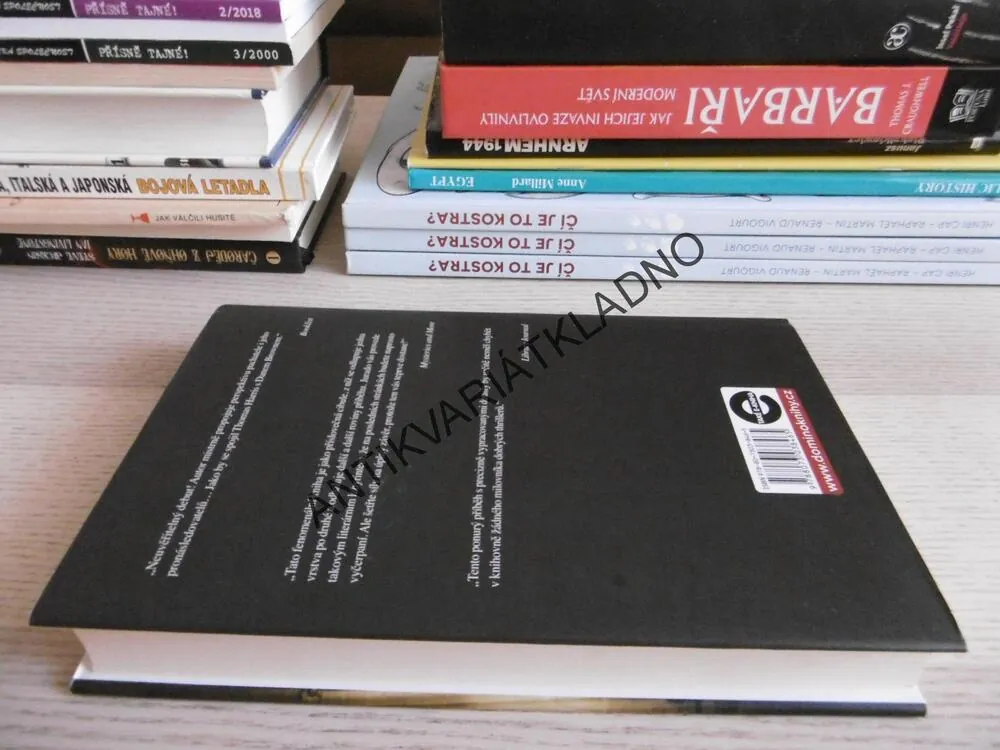 VYKONAVATEL, JUAN GÓMEZ JURADO, **an