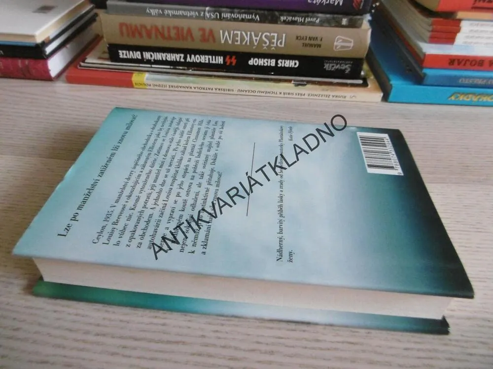 SAFÍROVÁ VDOVA, DINAH JEFFERIES, **an