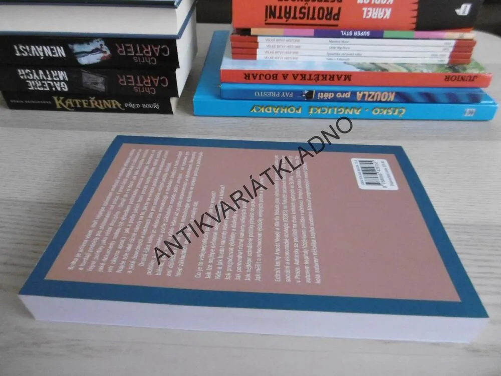 ANALÝZA A TVORBA VEŘEJNÝCH POLITIK, ARNOŠT VESELÝ, MARTIN NEKOLA, **an