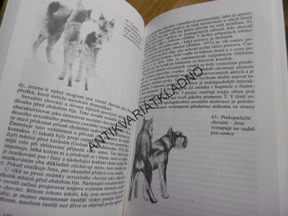 POZNEJ SVÉHO PSA, PES, KYNOLOGIE, MIKULICA, **an