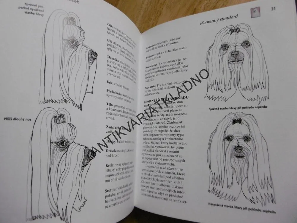 MALTÉZÁČEK, RASA MALTÉZSKÝ PSÍK, CUNLIFFEOVÁ, **an