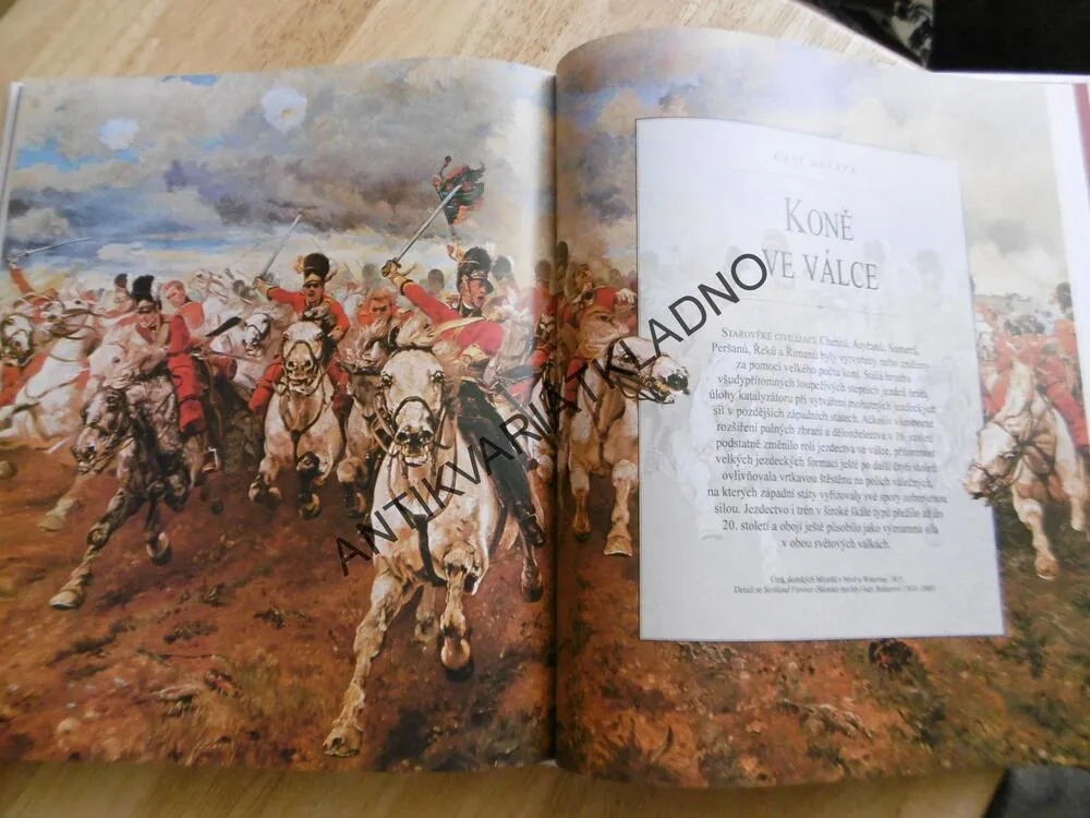 OBRAZOVÁ ENCYKLOPEDIE KONÍ, KŮŇ, JEZDECTVÍ