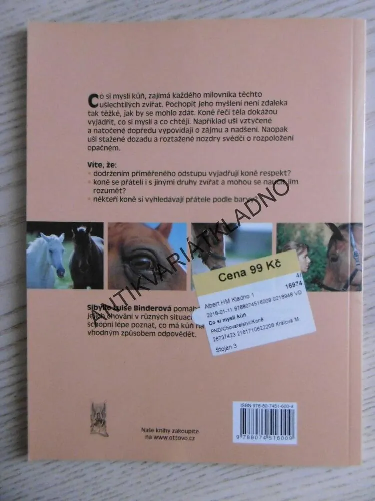 CO SI MYSLÍ KŮŇ, ÚPLNÝ POHLED NA CHOVÁNÍ KONĚ, BINDEROVÁ, **an