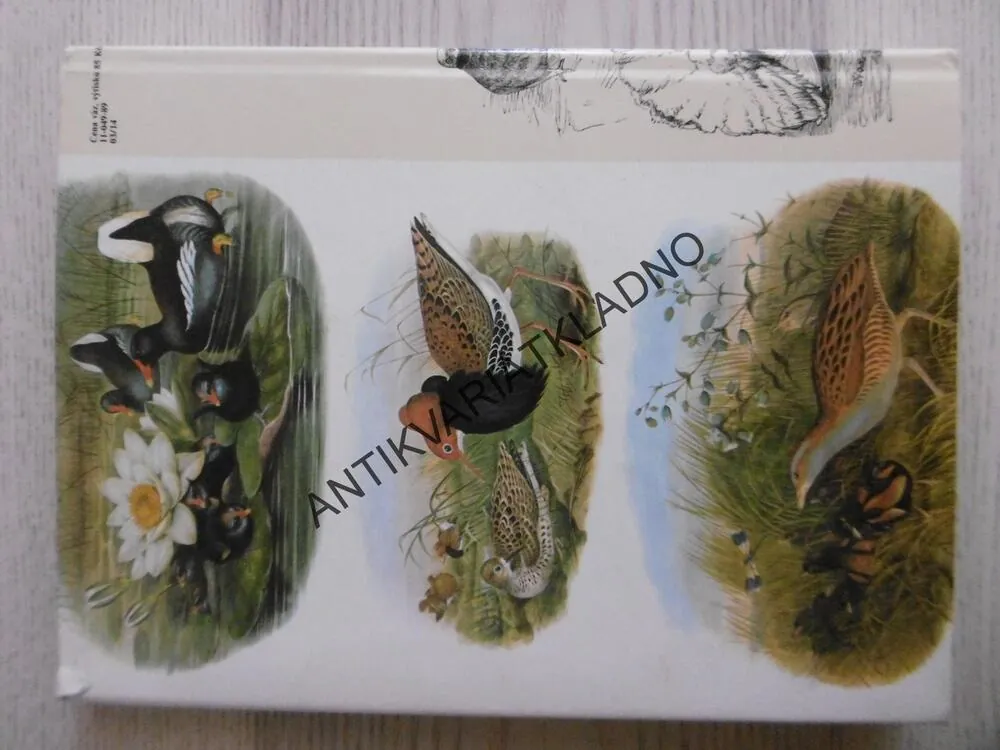 DARWINŮV PŮVOD DRUHŮ V ILUSTRACÍCH, RICHARD E. LEAKEY, **an