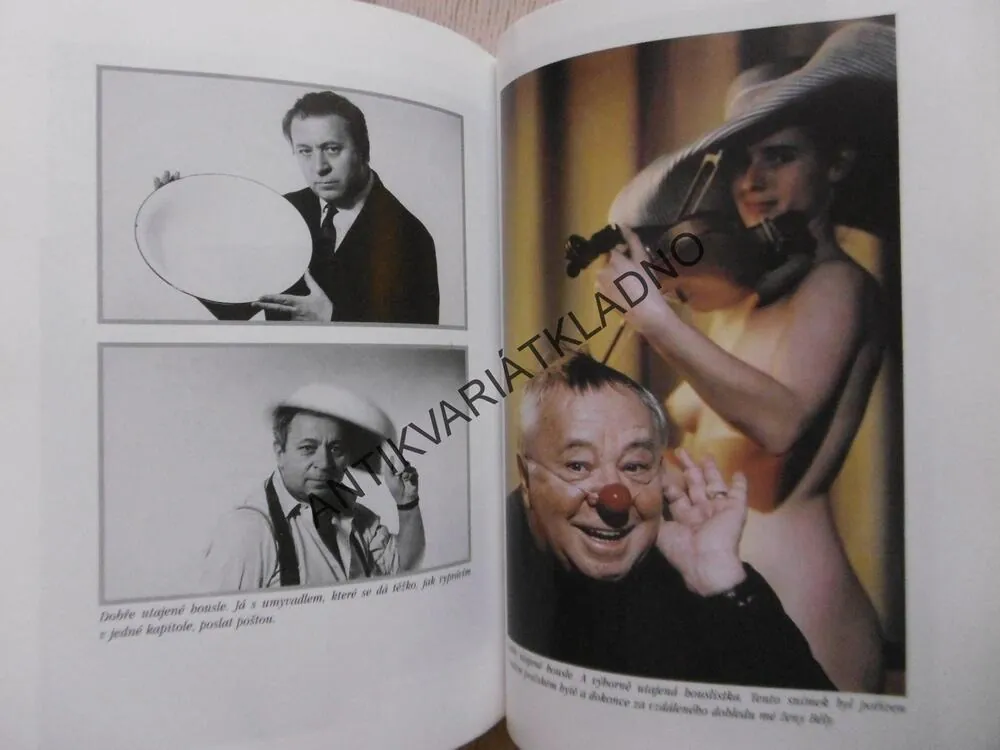 VTEŘINY ŽIVOTA, MIROSLAV HORNÍČEK, **an