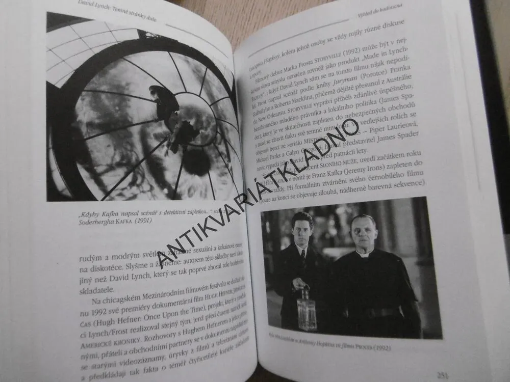 TEMNÉ STRÁNKY DUŠE, LYNCH, ROBERT FISCHER, **an