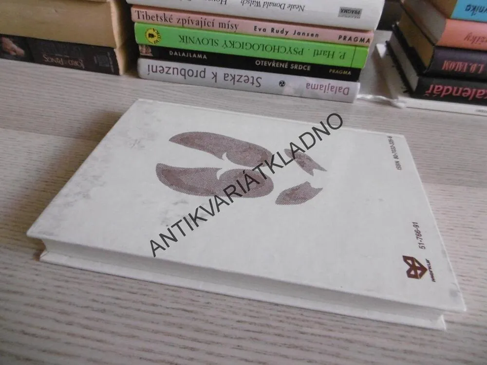 SKAUTSKÉ STOPAŘSTVÍ, KAREL DOLEJŠ, **an