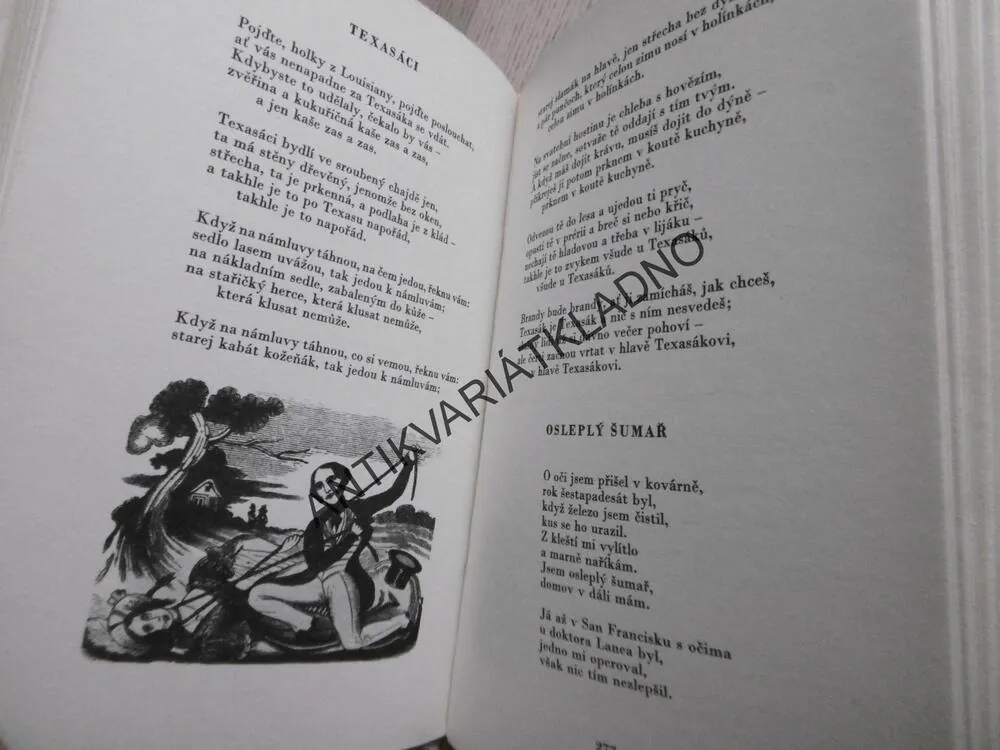 AMERICKÁ LIDOVÁ POEZIE, LUBOMÍR DORŮŽKA