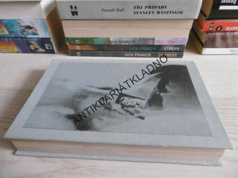 TŘI PŘÍPADY A TRAVIS MCGEE, JOHN D. MACDONALD, **an