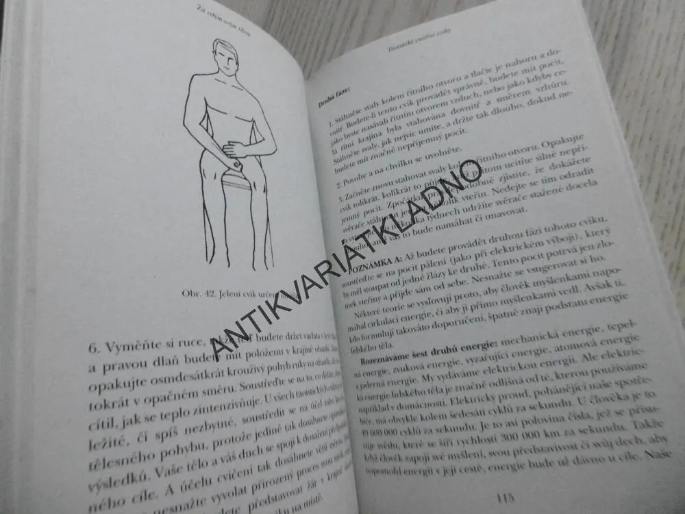 TAOISMUS PRO ZDRAVÍ, STEPHEN T. CHANG, **an