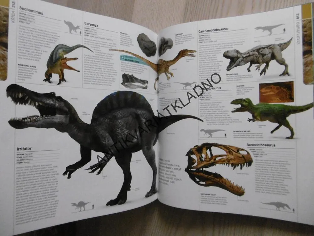 PREHISTORIE, OBRAZOVÝ PRŮVODCE VÝVOJEM ŽIVOTA NA ZEMI, **an