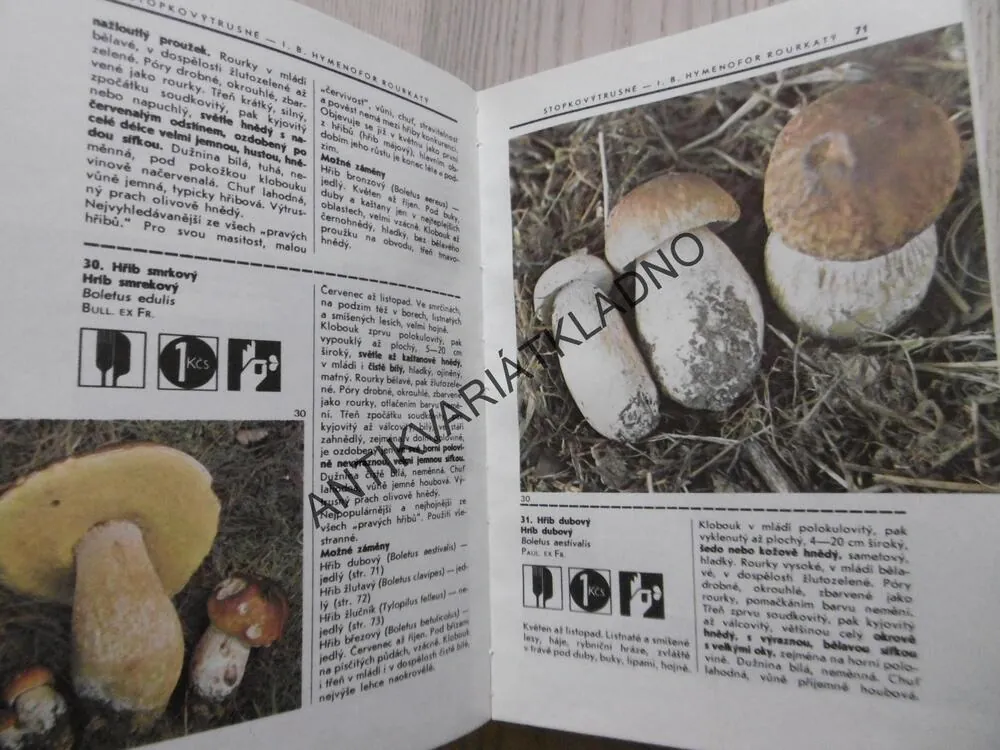 POZNÁVÁME HOUBY, KLUZÁK, SMOTLACHA, ERHARTOVI, MYKOLOGIE , **an