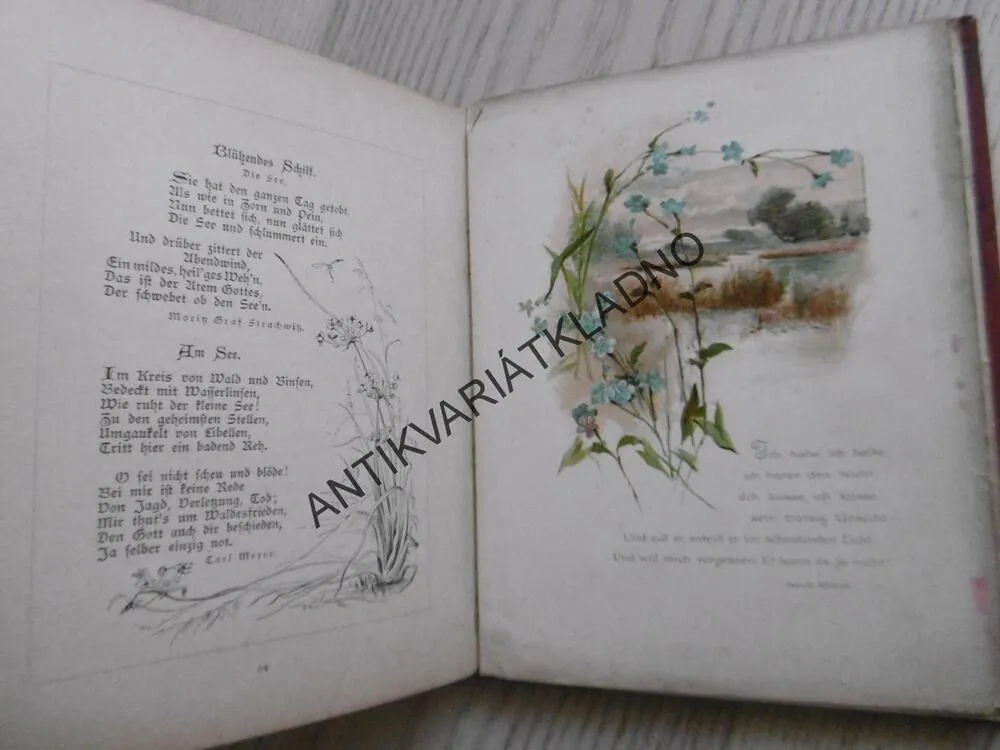 FLORA, LIEDER UND WEISEN, AMÉLIE GODIN, NĚMECKY, LITOGRAFIE,
