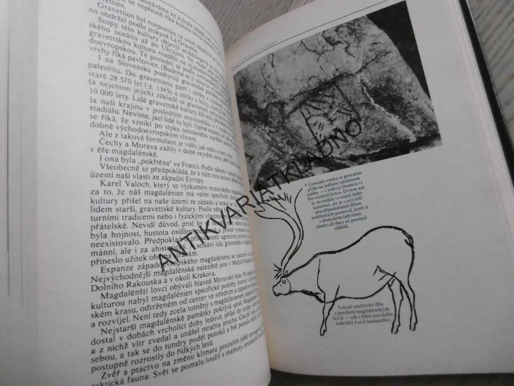 ODKRYTÉ DĚJINY, PAVEL DVOŘÁK,  **an