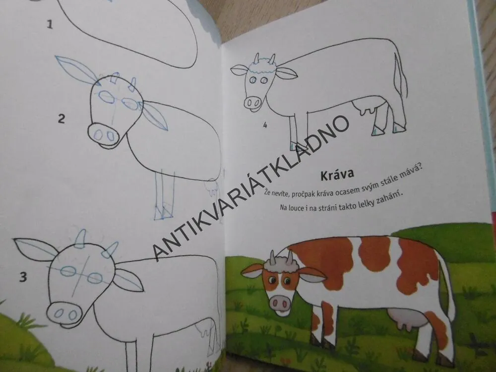 KRESLÍME ZVÍŘÁTKA KOLEM NÁS, KROK ZA KROKEM,