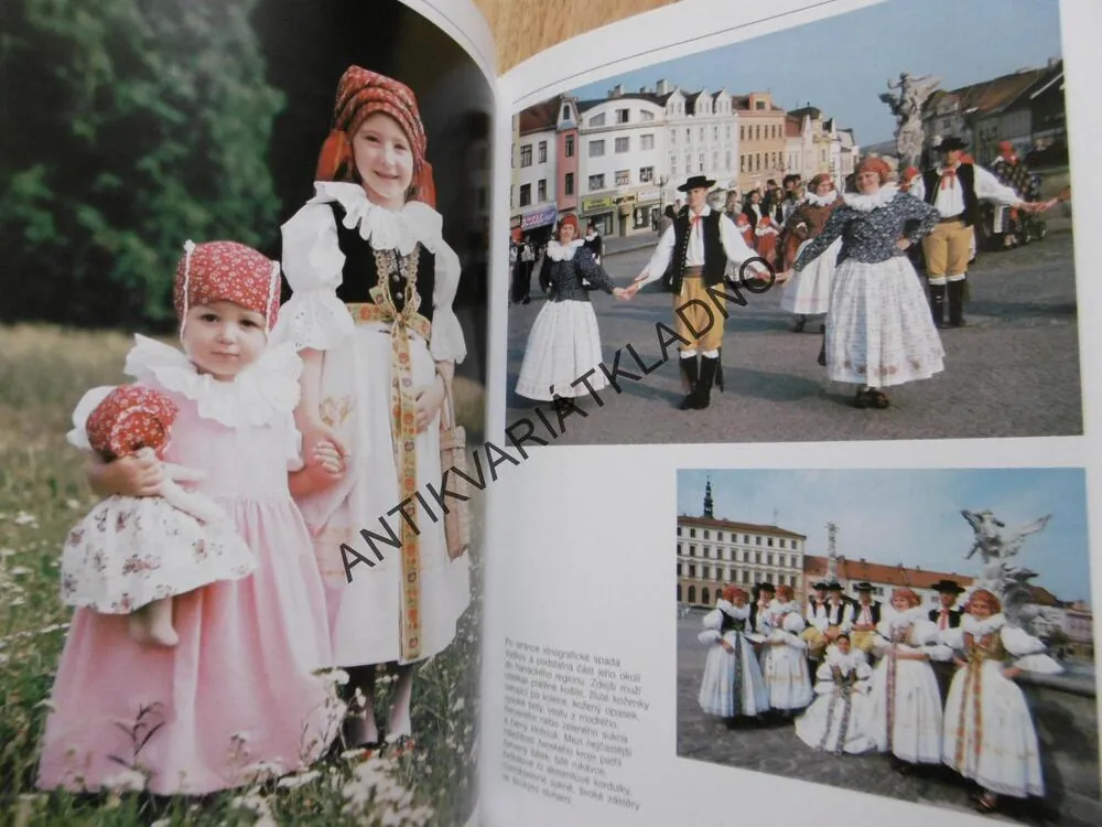 VYŠKOVSKÁ ZASTAVENÍ, VYŠKOV, SLOVEM I OBRAZEM,