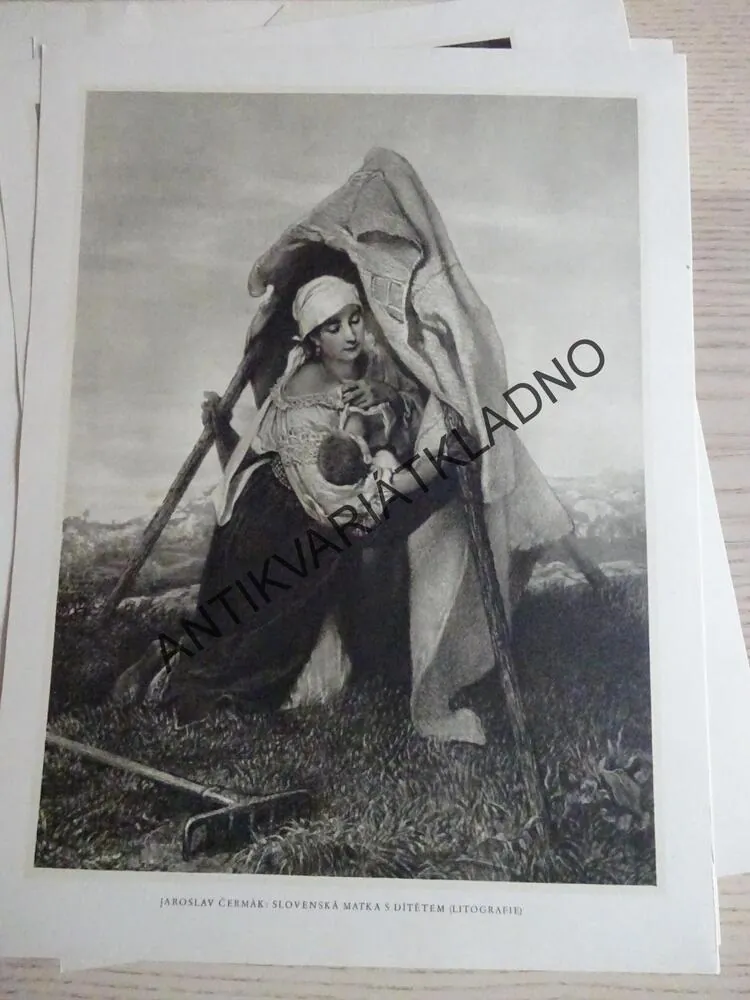VLASTENECKÝ PŘÍKLAD ČESKÉ KRESBY XIX. STOLETÍ, **an