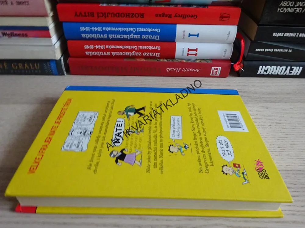 VELKEJ FRAJER NATE JE PROSTĚ TŘÍDA, KOMIKS, LINCOLN PEIRCE, **an