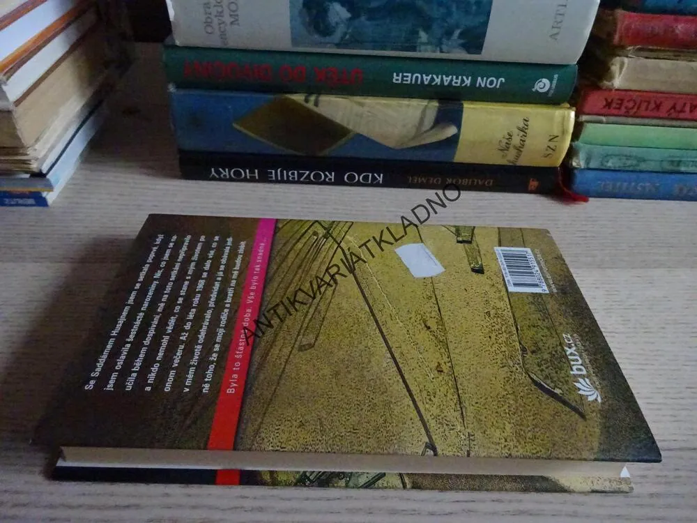 MŮJ ŽIVOT SE SADDÁMEM HUSAJNEM, PARISULA LAMPSOSOVÁ, LENA KATARINA SWANBERGOVÁ, **an