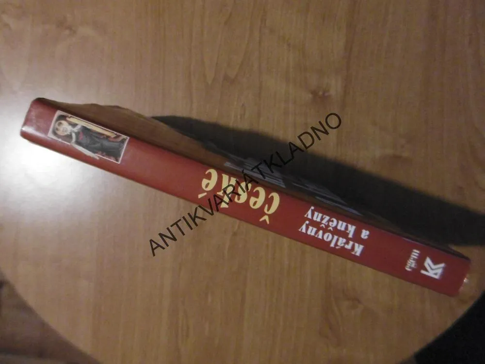 KRÁLOVNY A KNĚŽNY ČESKÉ, ŽENY V ČESKÝCH DĚJINÁCH, **an