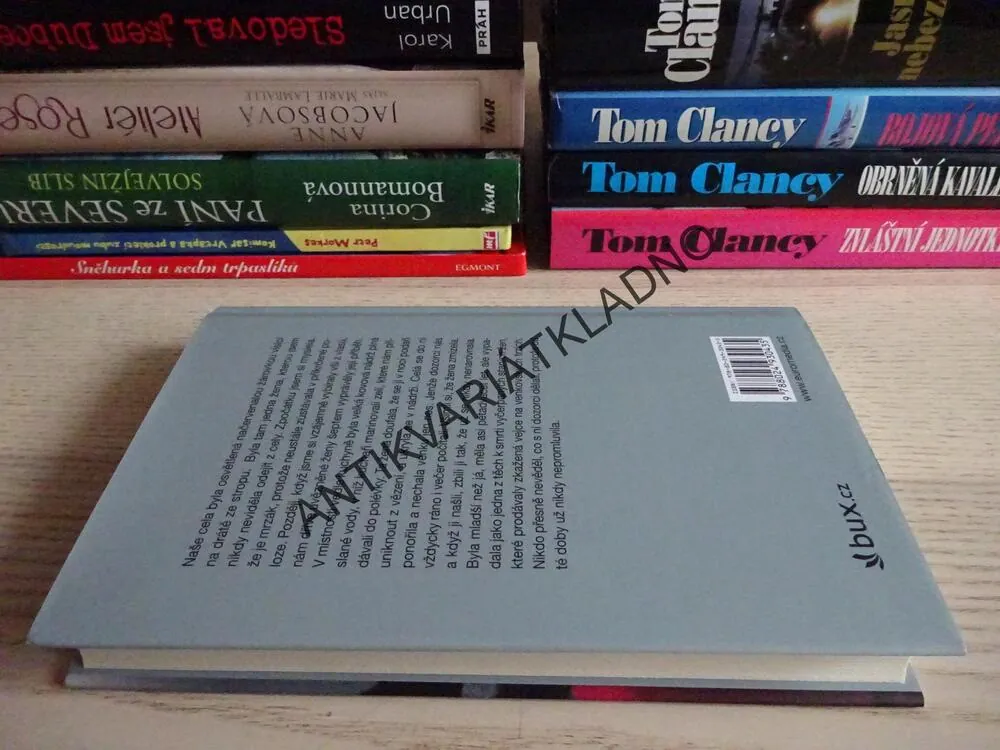 HVĚZDY MEZI SLUNCEM A MĚSÍCEM, LUCIA JANGOVÁ, SUSAN MCCLELLANDOVÁ, **an