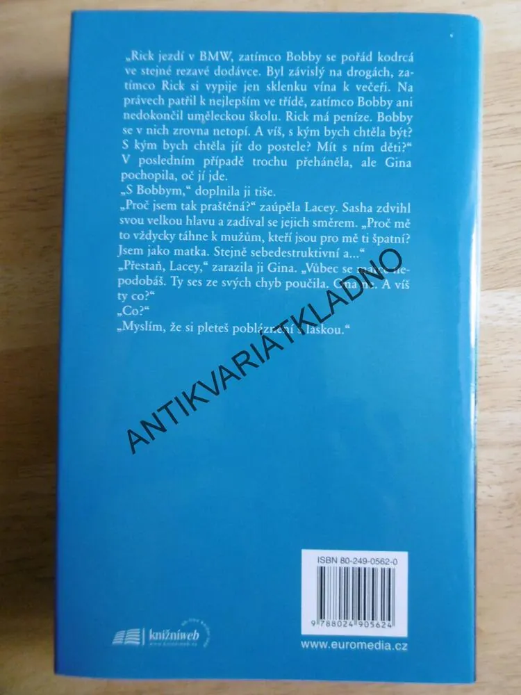 MATČIN STÍN, DIANE CHAMBERLAINOVÁ, **an