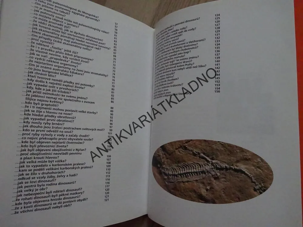 JAK SE LOVÍ DINOSAUŘI ANEB CO NEVÍTE O HISTORII ZEMĚ, BOŘIVOJ ZÁRUBA, **an