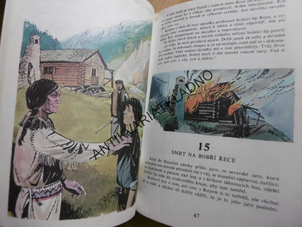 HOŠI OD BOBŘÍ ŘEKY, JAROSLAV FOGLAR, 1991 **an