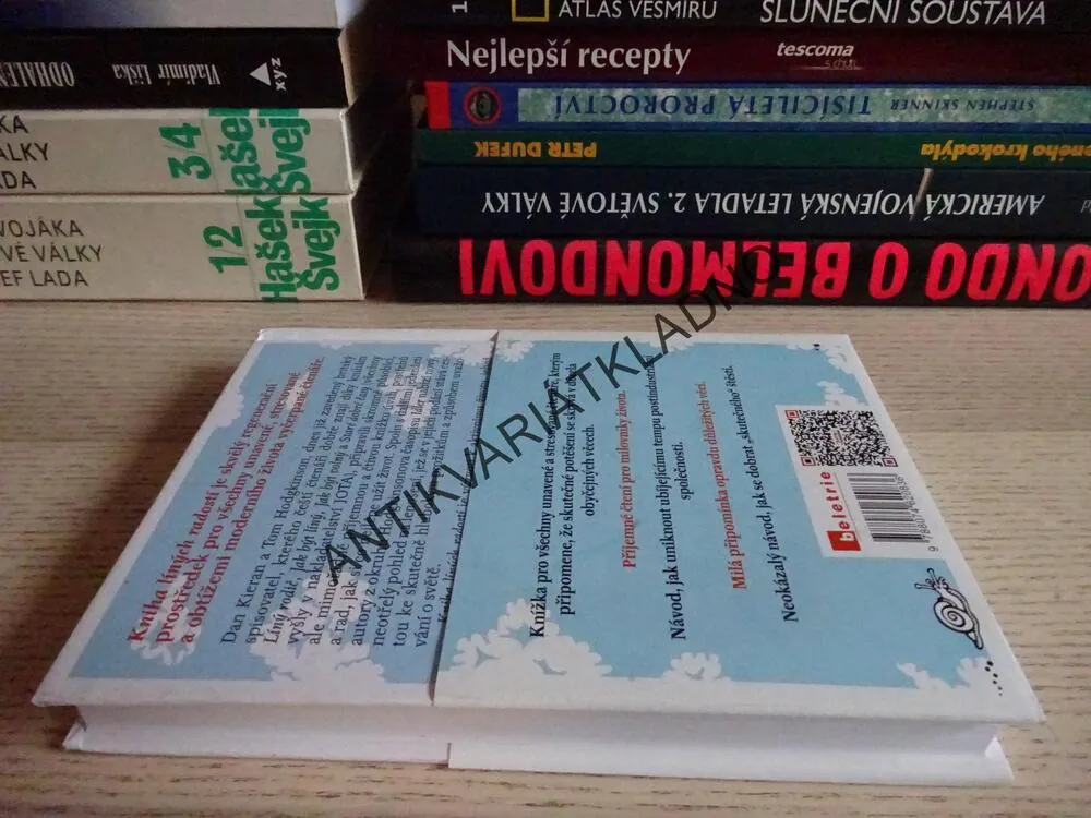 KNIHA LÍNÝCH RADOSTÍ, TOM HODGKINSON, **an