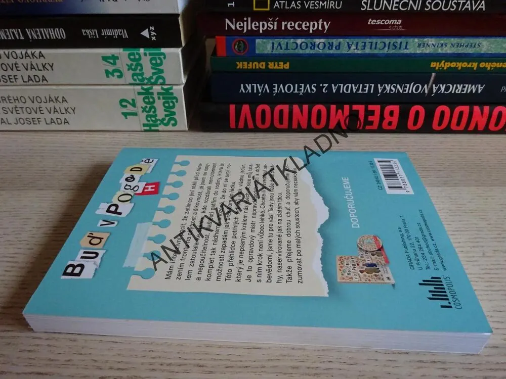 BUĎ V POGODĚ, SANDRA POGODOVÁ, RICHARD POGODA, **an