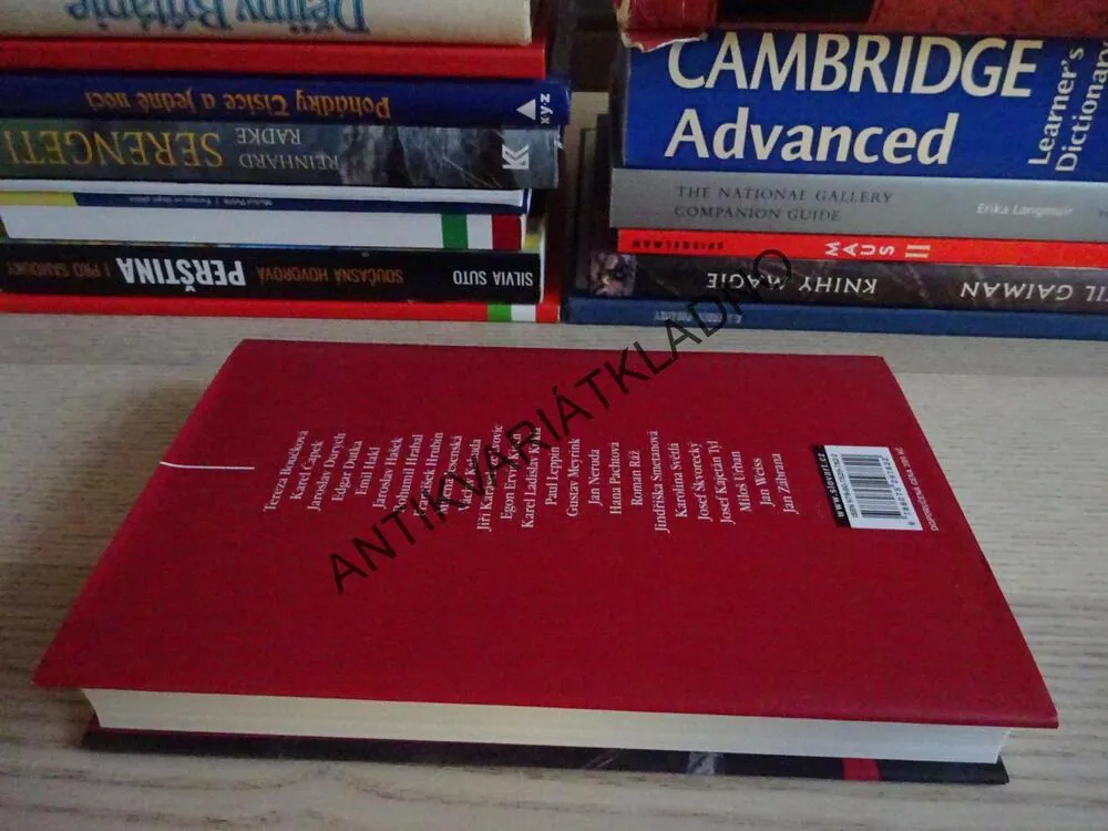 PRAHA V MNOŽNÉM ČÍSLE, RADIM KOPÁČ, JAKUB ŠOFAR, **an