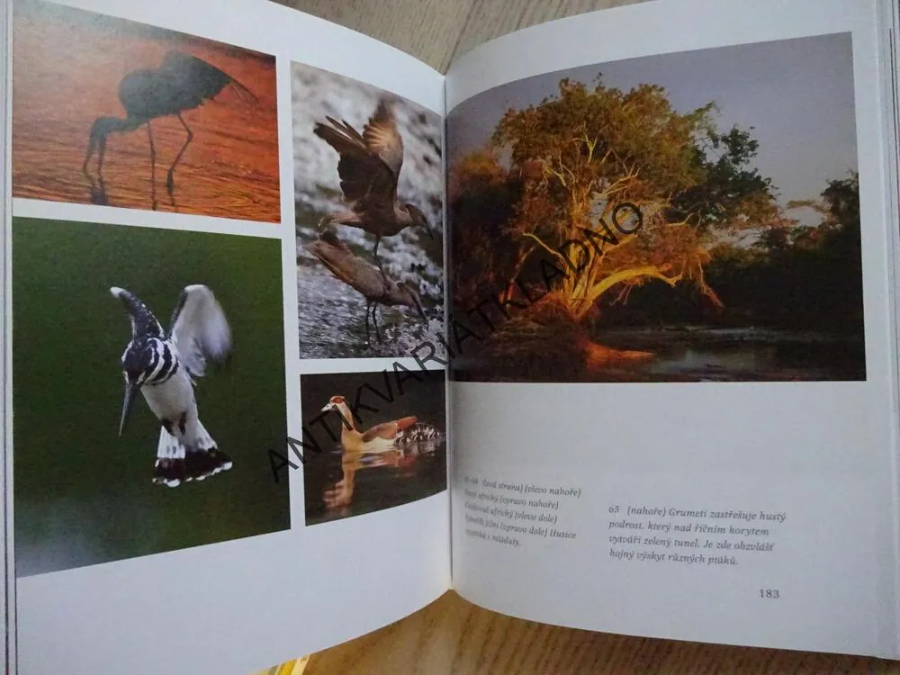 SERENGETI, POHLED DO AFRICKÉ DIVOČINY, REINHARD RADKE, **an