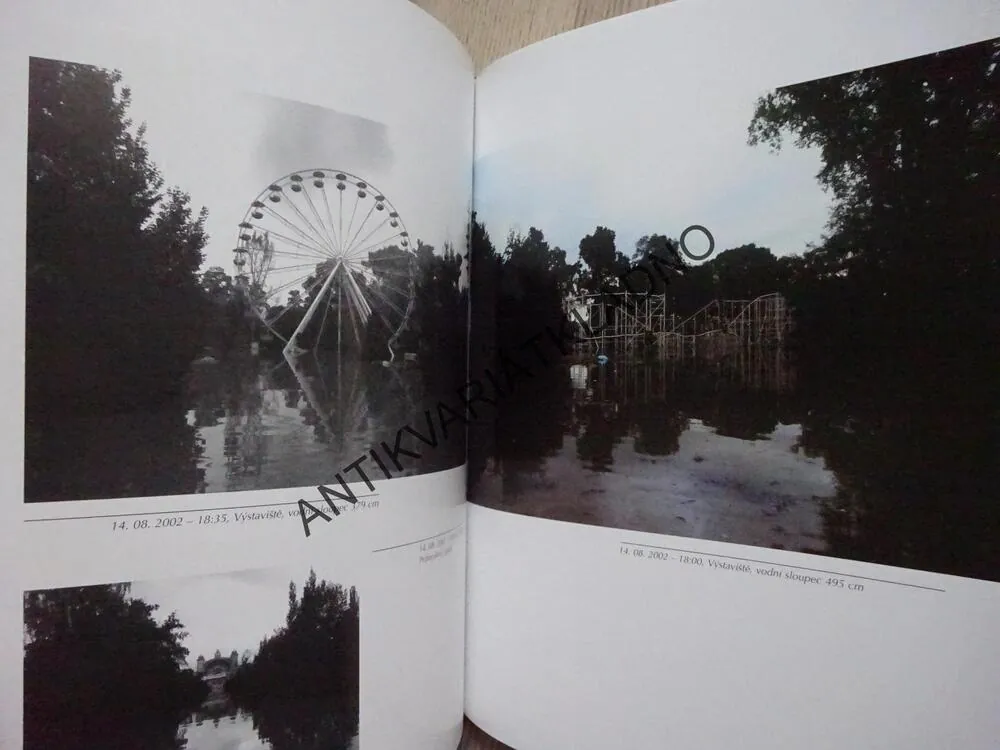 KRÁLOVSKÁ OBORA, STROMOVKA 2002, MERVYN STERNECK, **an