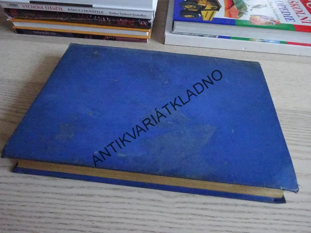 PRAHA VE SVÉ SLÁVĚ A UTRPENÍ, JAN DOLENSKÝ, **an