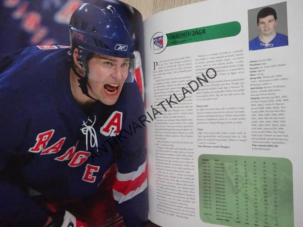 HVĚZDY NHL 2007, ČEŠI A SLOVÁCI V SEZONĚ 2005-06, LEDNÍ HOKEJ, **an