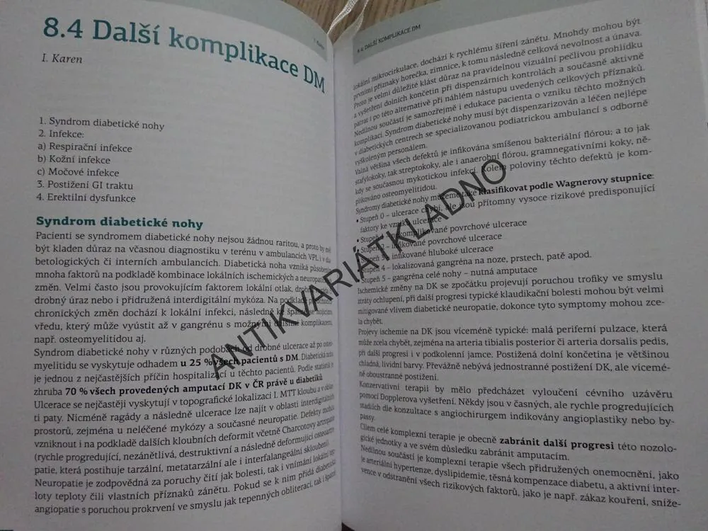 DIABETES MELLITUS V PRIMÁRNÍ PÉČI, IGOR KAREN, ŠTĚPÁN SVAČINA A KOLEKTIV, **an