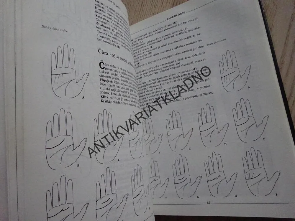 VELKÁ KNIHA VĚŠTECKÝCH UMĚNÍ, CATHERINE AUBIER, **an